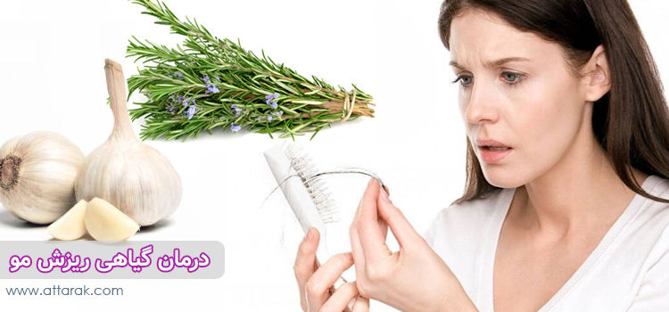 گیاهان مفید برای درمان ریزش مو