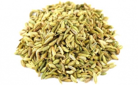 fennel seeds attarak