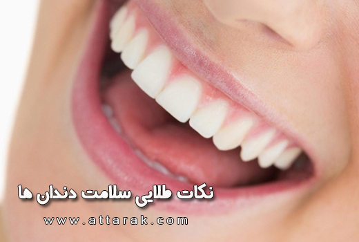 نکات طلایی سلامت دندان ها