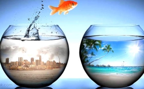 آیا رویایم برایم رضایت به ارمغان می آورد؟