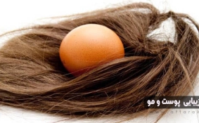 نکاتی برای تقویت مو با زرده تخم مرغ
