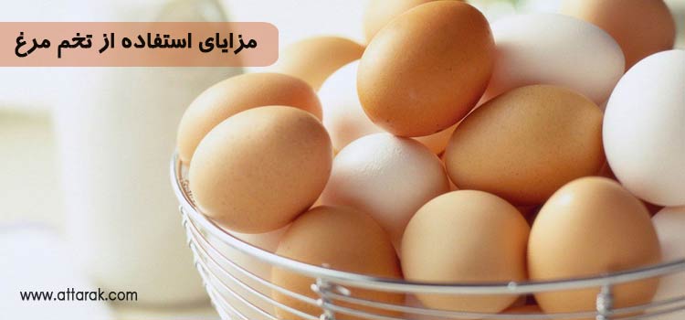 با مزایای استفاده از تخم مرغ آشنا شوید