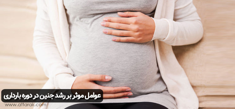 عوامل موثر بر رشد جنین در دوره بارداری