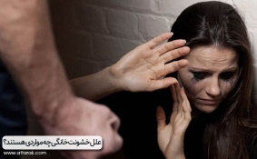 علل خشونت خانگی چه مواردی هستند؟