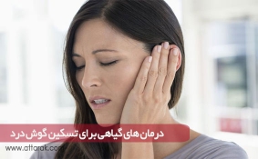 درمان های گیاهی برای تسکین گوش درد