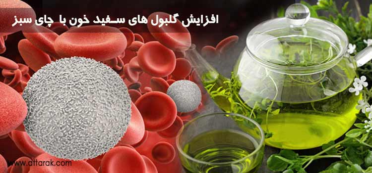 افزایش گلبول های سفید خون با مواد غذایی