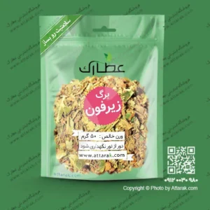 برگ زیرفون