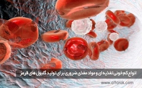 انواع کم خونی تغذیه ای و مواد مغذی ضروری برای تولید گلبول های قرمز