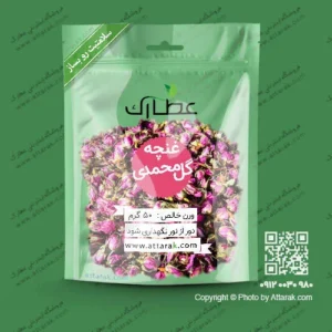غنچه گل محمدی