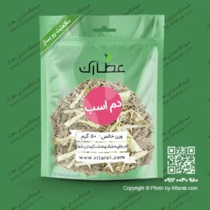 گیاه دم اسب