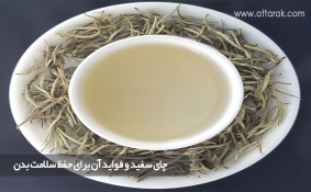 چای سفید و فواید آن برای حفظ سلامت بدن