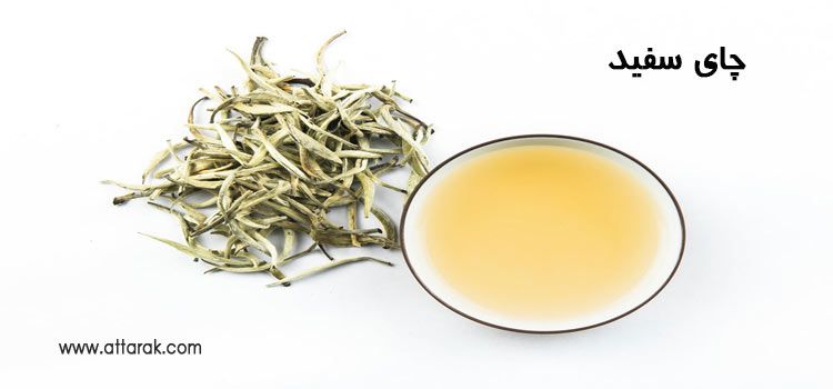 چای سفید و فواید آن برای حفظ سلامت بدن