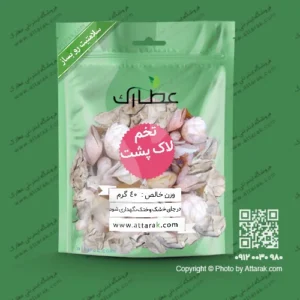 تخم لاک پشت