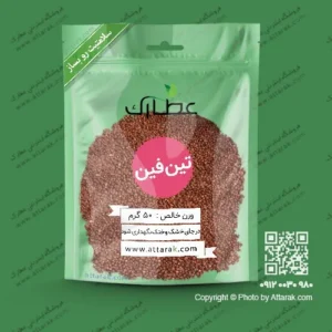 تین فین