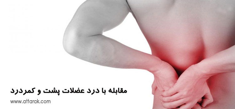 راهکارهایی برای مقابله با درد عضلات پشت و کمردرد