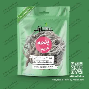 پنجه مریم
