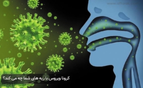 کرونا ویروس با ریه های شما چه می کند؟