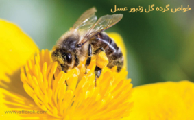 خواص گرده گل زنبور عسل