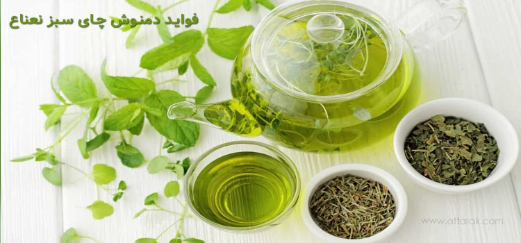 دمنوش چای سبز نعنا و 11 فایده بی نظیر آن برای سلامت و زیبایی
