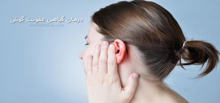 درمان عفونت و درد گوش با روش های خانگی که بهتر است بدانید!