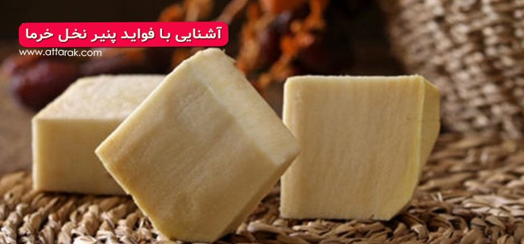 پنیر نخل خرما / فواید پنیر نخل برای سلامت بدن