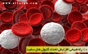 10 داروی گیاهی افزایش گلبول سفید خون