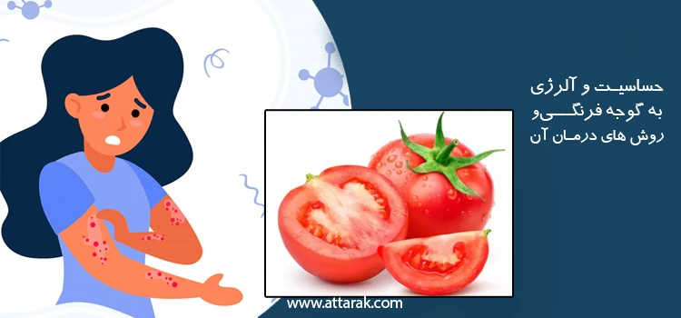 حساسیت و آلرژی به گوجه فرنگی و روش های درمان آن