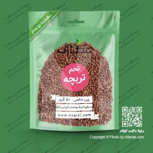 تخم تربچه