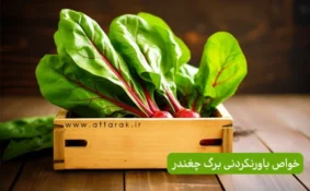 خواص باورنکردنی برگ چغندر برای سلامتی