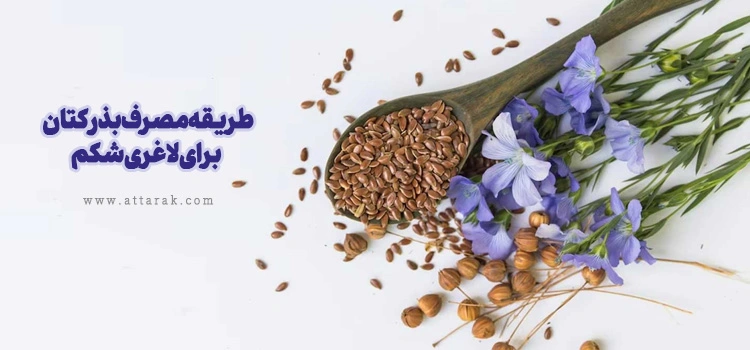 خواص تخم کتان