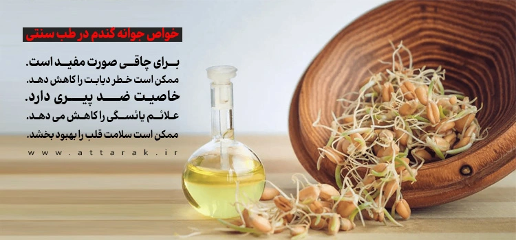 جوانه گندم چیست و از کجا می توانم آن را پیدا کنم؟