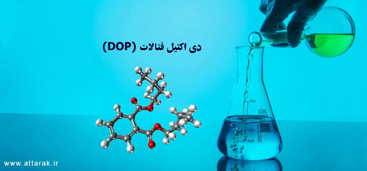 فتالات چیست و چه عوارضی برای مردان دارد؟