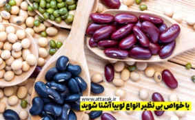 با خواص بی نظیر انواع لوبیا آشنا شوید