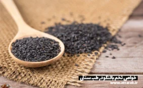 خواص تخم بالنگو در طب سنتی