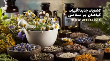 کشفیات جدید تأثیرات گیاهان بر سلامتی