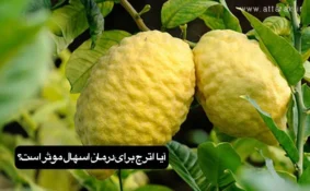 درمان خانگی اسهال با اترج
