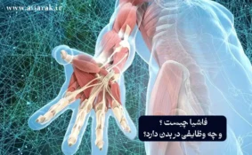 فاشیا چیست ؟