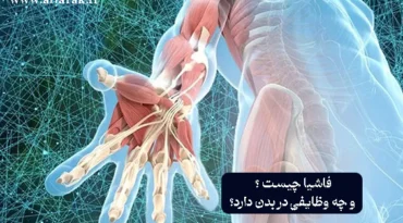 فاشیا چیست ؟