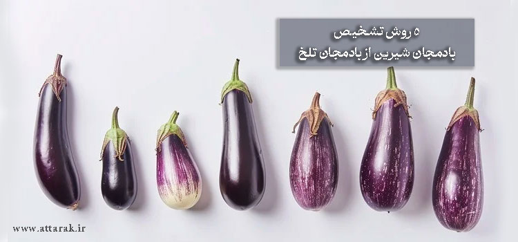 5 روش تشخیص بادمجان شیرین از بادمجان تلخ