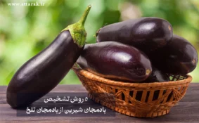 5 روش تشخیص بادمجان شیرین از بادمجان تلخ