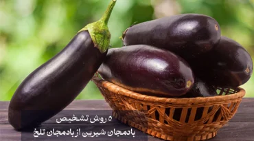 5 روش تشخیص بادمجان شیرین از بادمجان تلخ