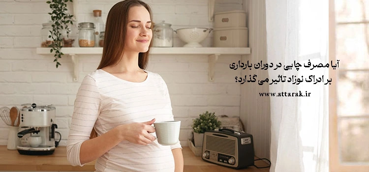 آیا مصرف چایی در دوران بارداری بر ادراک نوزاد تاثیر می گذارد؟