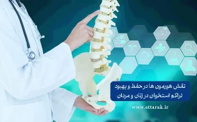نقش هورمون ها در حفظ و بهبود تراکم استخوان