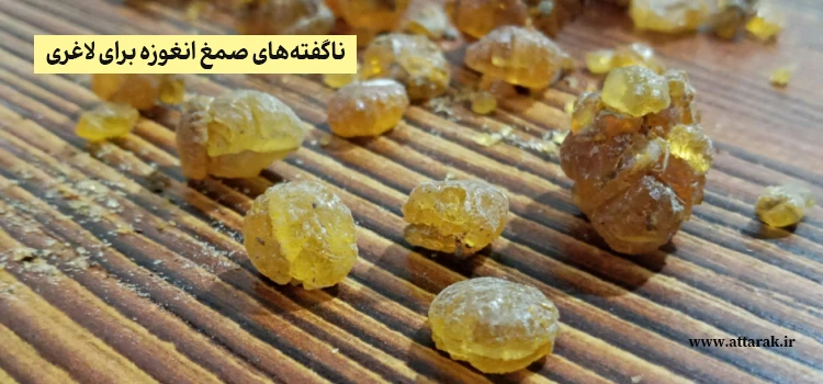 ناگفته‌ های صمغ انغوزه برای لاغری