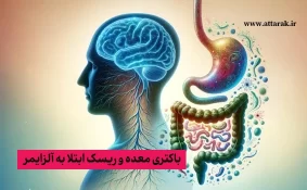 باکتری معده و ریسک ابتلا به آلزایمر