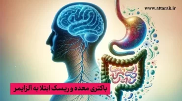 باکتری معده و ریسک ابتلا به آلزایمر