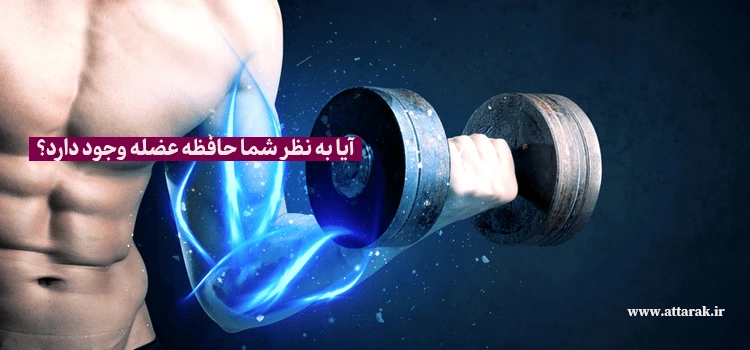 آيا به نظر شما حافظه عضله وجود دارد؟