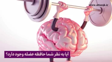 آيا به نظر شما حافظه عضله وجود دارد؟
