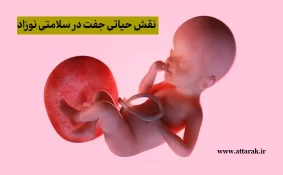نقش حیاتی جفت در سلامتی نوزاد
