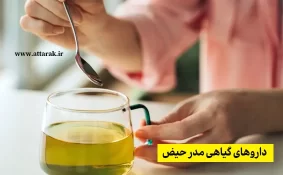 داروهای گیاهی مدر حیض